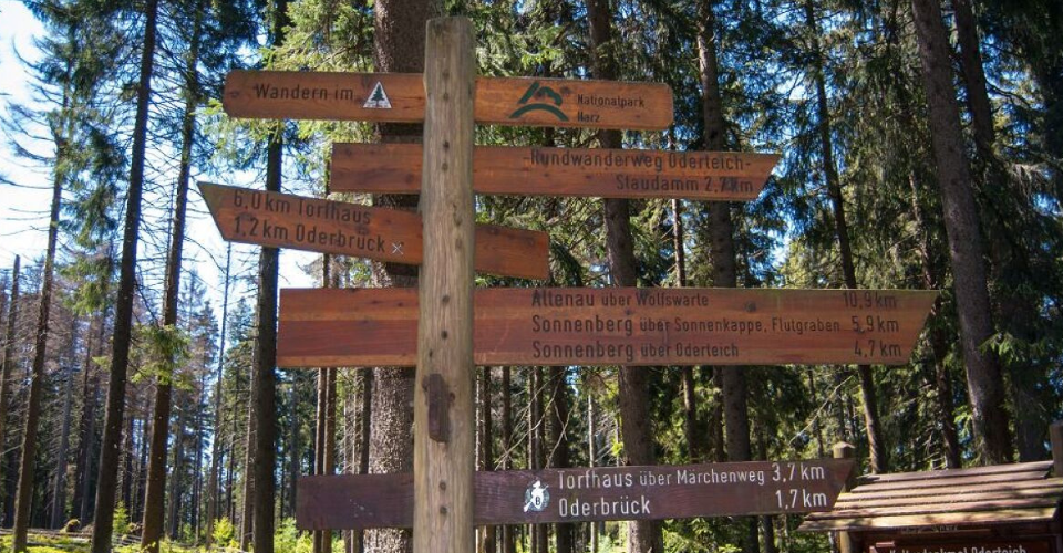 Wegweiser im Harz